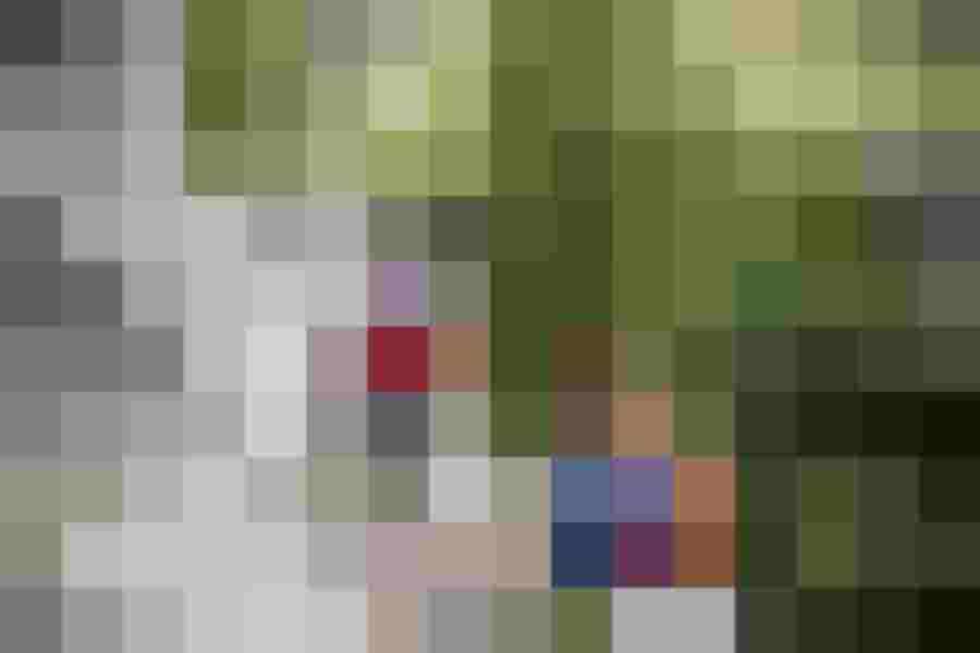 Familie klettert am Fels in Waidring, umgeben von grüner Natur und malerischer Landschaft.